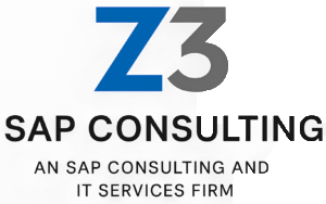 Sap Consulting